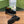 GG Ankle Boot With Horsebit 15 Black Suede