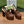 GG WOMEN'S HORSEBIT PLATFORM SLINGBACK IN DARK BROWN EMBOSSED CALFSKIN