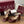 GG Women Horsebit High Heel Sandal Open Toe Burgundy Sheepskin 225968