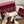 GG Women Horsebit High Heel Sandal Open Toe Cream Sheepskin 225969