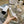 GG 26s Marmont Sandals 10cm White Leather 926705