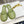 The Row Semi Slippers Olive Sheepskin 827476