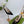 GG 26 Slingback Black Velvet 592418