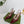 GG 26 Slingback Dark Red Fabric 592423