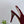 GG 26 Slingback Rhinestones Dark Red Fabric 592424