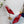 PRA 26SS Slingback 75 Red Patent Leather 592341