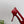 PRA 26SS Pumps 75 Red Patent Leather 592348