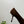 PRA 26SS High Heels Pumps 75 Dark Brown Suede 592358