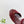PRA 26SS Platform Sandals 75 Red Suede Sheepskin 592380