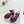 PRA 26SS Platform Sandals 75 Burgundy Suede Sheepskin 592388
