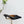 PRA 26SS High Heel Mule 55 Black Beige Cowhide 592408
