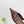 PRA 26SS Slingback 55 Brown Cowhide 592413