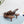 PRA 26SS Slingback 55 Brown Cowhide 592404