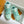 LV TRAINER SHOES SKY BLUE GRAINED CALFSKIN
