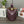 Medium Pebble 28cm Dark Burgundy Calfskin