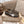 GGDB Sneakers Dark Brown White Star Leather 983563