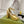 HIGH SANDAL SQUARE HEEL 12 CM IN GOLD CALFSKIN