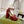 GG CRYSTALS PLATFORM PUMPS SCARLET CALFSKIN