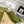 GG & ADIDAS MULE HORSEBIT BUCKLE OLIVE CANVAS