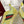 GC 2025 Re-Motion Sneaker Acid Green Suede Cowhide 292413