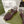 GC 25 Gold Double G Sandal bordeaux Rubber 292434
