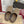 GC 25 Horsebit Mule Brown Monogram Canvas