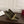 GG Boulevard Pumps 7.5cm Olive Leather 888850