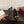 GG Boulevard Pumps 7.5cm Black Leather 888854