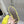 Miu Slippers Lemon Yellow Wool Fabric
