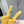 Miu Slippers Dark Yellow Wool Fabric