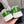 CC Sneaker Green cowhide 204657