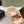 CC 26s Dad Platform Sandal Mule Beige Sheepskin 762875