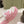 CC 26s Platform Mules Pink Lambskin Fabric 916997