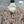 Chanel 2025 Hand-crocheted Cardigan Multicolor Cashmere 327002