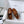 CC Moccasins 25mm In Caramel Glossy Lambskin 144647