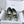 CC Mary Janes 15mm In Black Patent Leather 144720