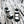 CC 25 Dad Sandals White Fabric Leather 300170