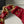 CC 2025 Hobo Bag Red Calfskin Gold Hardware 298484