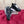 DC 24 Portofino Sneakers Black Digital-Print Sheepskin & Crown Embroidery 100859