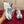 DC 24 Daymaster Sneakers White Blue Cowhide & Demin 167335
