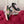 DC 25 Portofino Light Sneakers Black Pink Glitter Floral Pattern & Sheepskin 333870