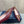 CD 26 High-Heeled 40 Pumps Burgundy Cowhide 594578