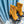 CC Ankle Boots 70mm Yellow Orange Suede