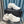 CC Sneaker White Grey Suede And Polyester Mesh Fabric