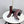 CC 26s Silhouette Ankle Boots Burgundy Black Sheepskin 972812