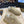 PRA TRAIL FADED ECRU SUEDE SNEAKERS