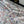 CC 25 Print Denim Short Multicolor Cotton