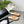 CC 25 Mule Beige Patent Calfskin Gold Double C