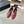 CC 25 Loafer Burgundy Sheepskin 338667