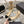 cc ballet 6cm beige black wedge heel